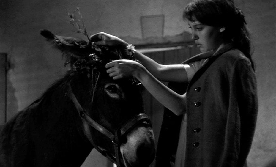 Unusual Approaches to Bodies