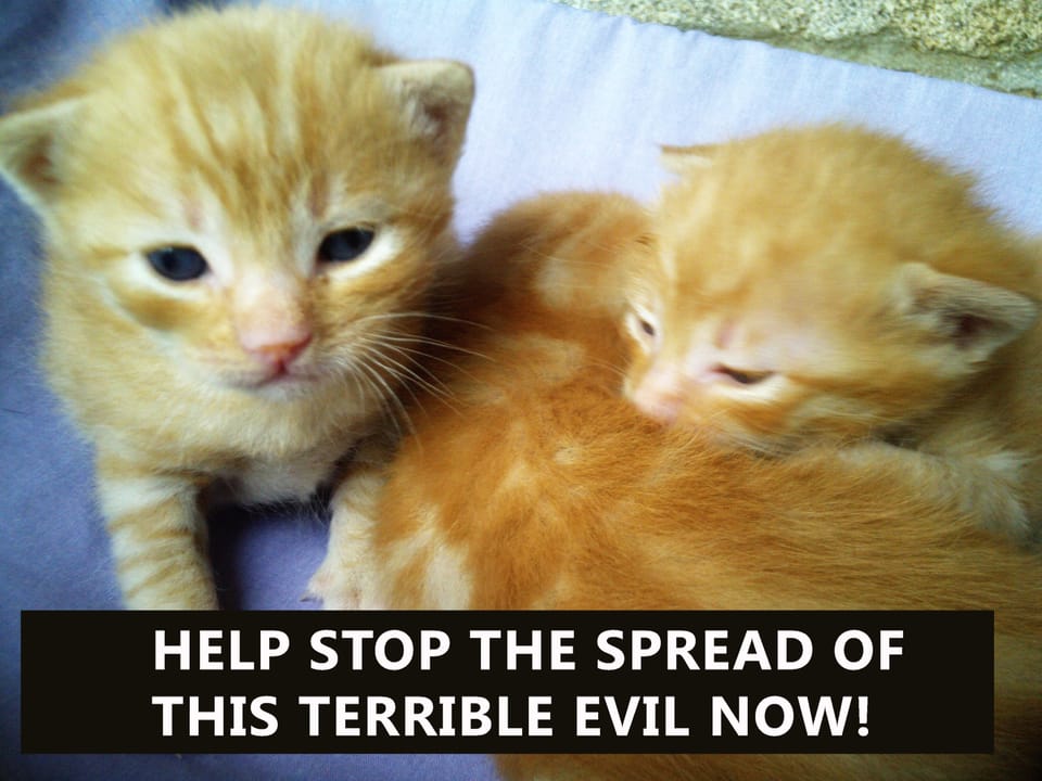 Exposing the Accuser Within