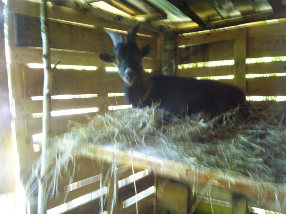 Confronting a Culture of Doublethink